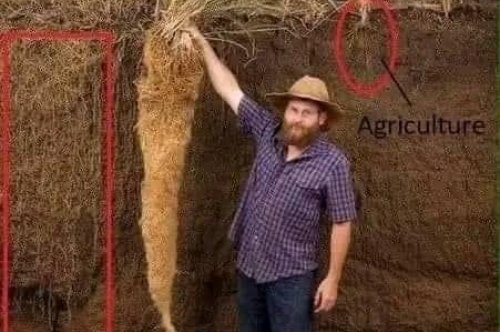 Here are 20 facilities in Zimbabwe that offer soil testing services and the cost