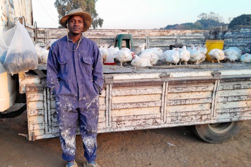 Open Markets: is it A Better Deal for Small-Scale Farmers ?