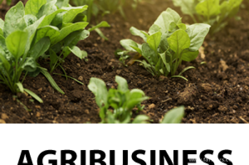 Grants for agribusinesses