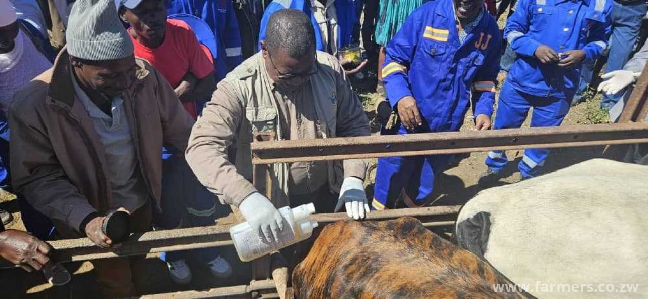 Zimbabwe  launches a Digital Livestock Stock Card to Modernise Farming Sector